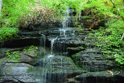 DSC_2843 (Large).JPG